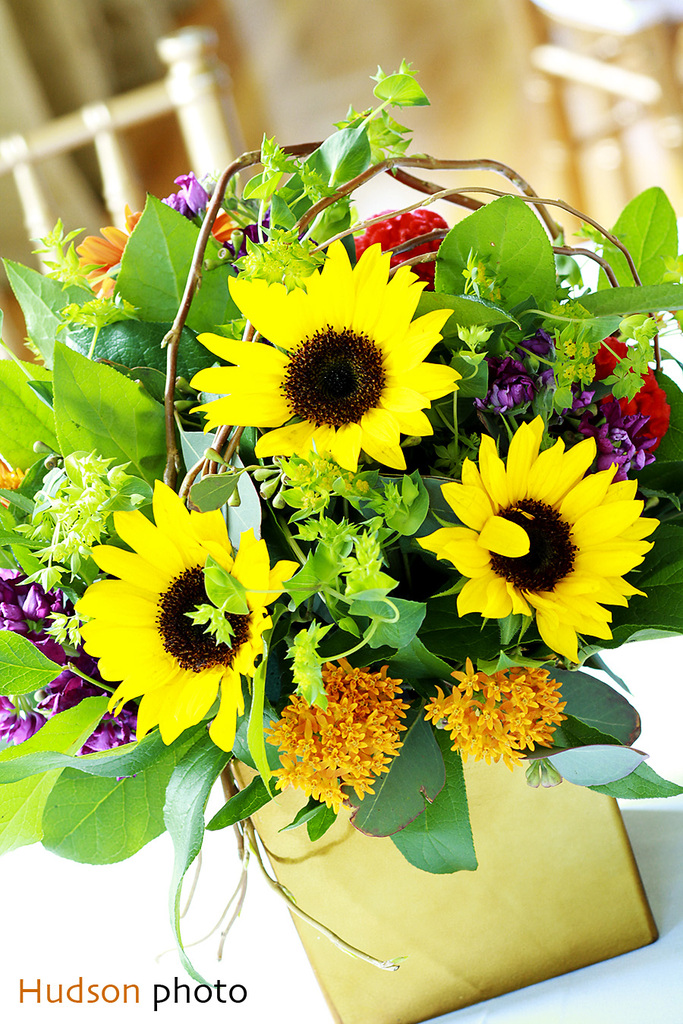 photo of Ideas in Bloom